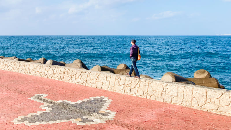 トロピカルビーチの海辺を歩くシーサーの写真。彼の歩みは止まらない。一歩づつ、着実に。目標を見据え、これからも歩き続ける。きっと素敵な出逢いがあることを信じて。